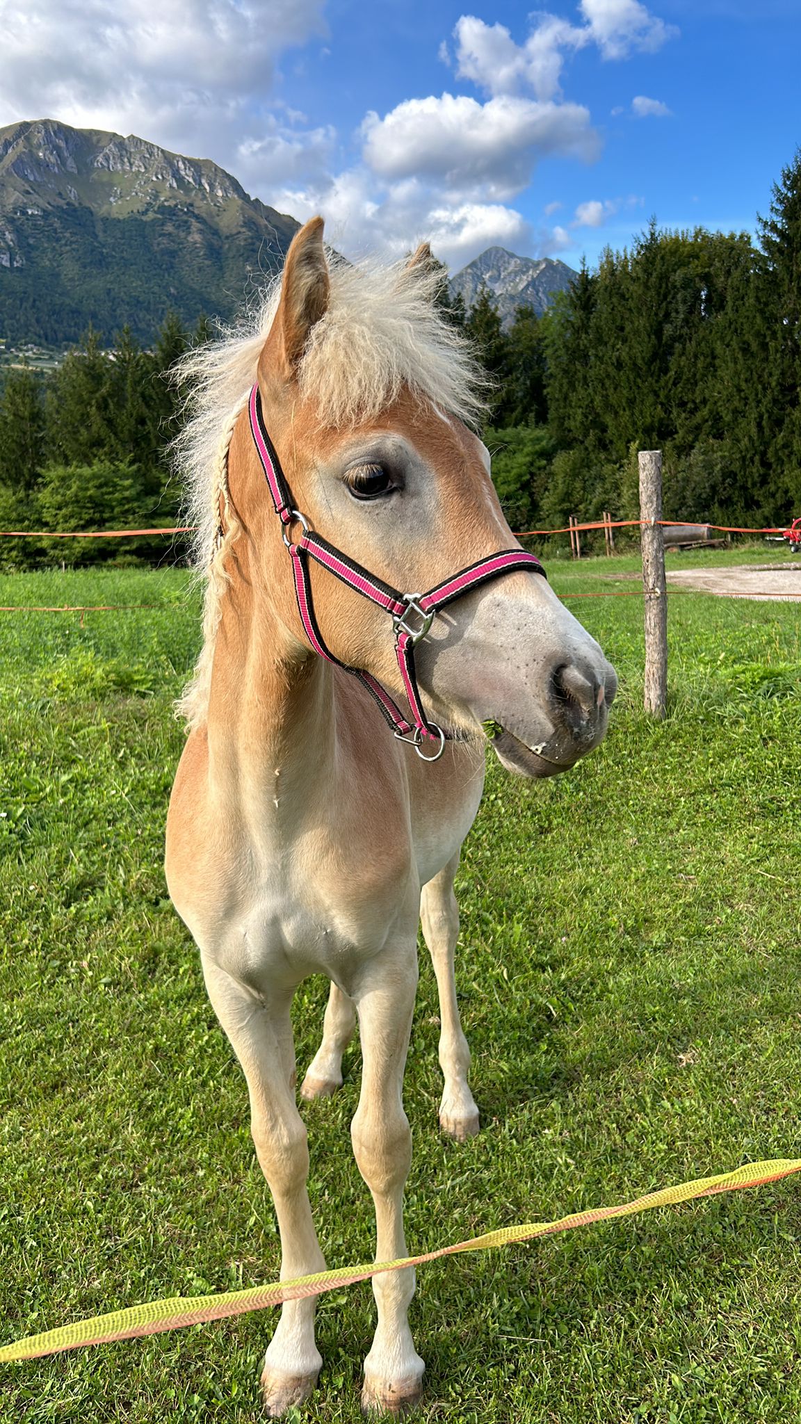 fattoria-didattica-2