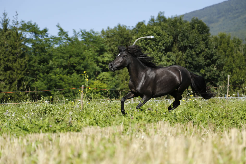 fattoria-didattica-engalavra-13.