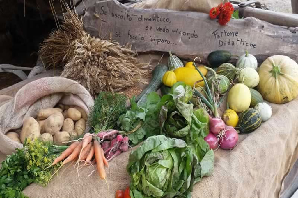 fattoria-didattica-engalavra-31.