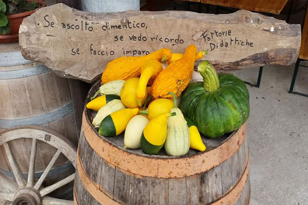 fattoria-didattica-engalavra-59.